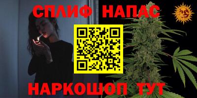 спиды Бузулук