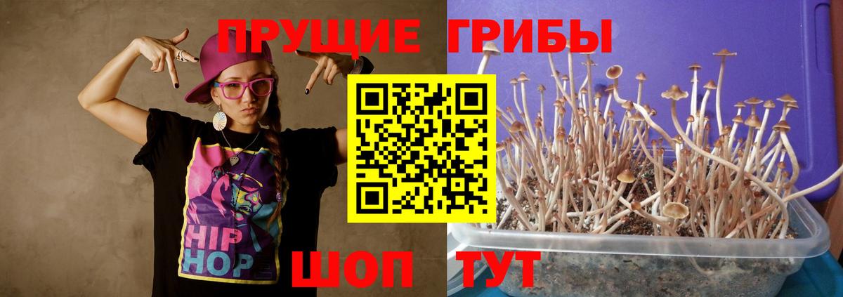 Муравленко  Галлюциногенные грибы Magic Shrooms  Вход с VPN 