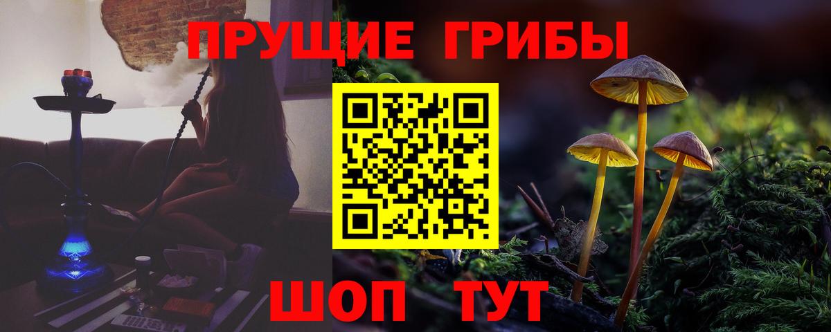 Псилоцибиновые грибы Cubensis Муравленко